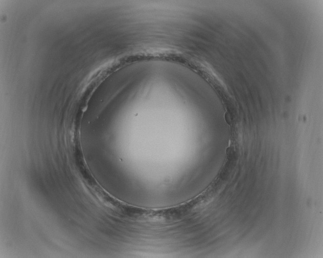 X0000083040640200702231931