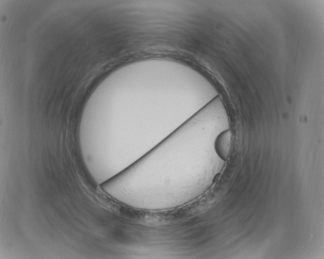 X0000083040641200702231931