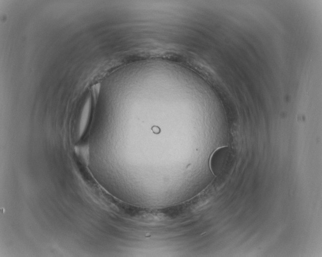 X0000083040642200702231931