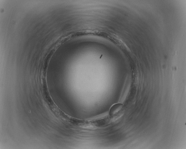 X0000083040643200702231931