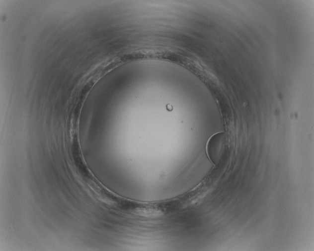 X0000083040644200702231931