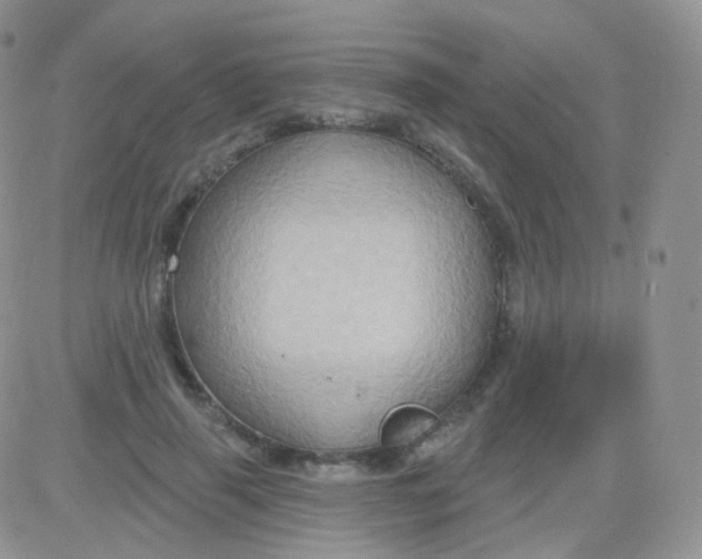 X0000083040645200702231931