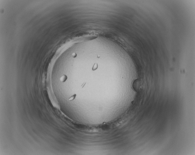 X0000083040646200702231931