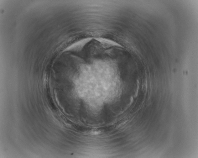 X0000083040647200702231931