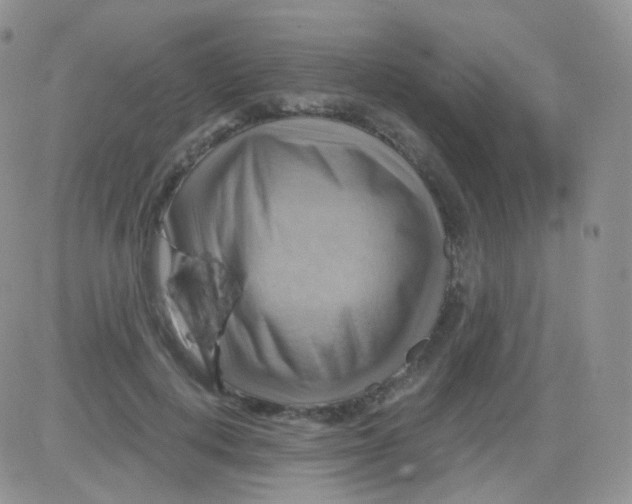 X0000083040648200702231931