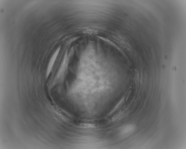 X0000083040649200702231931