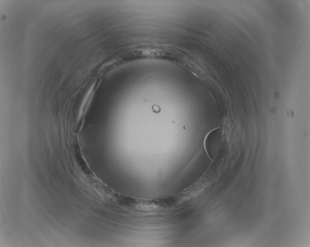 X0000083040650200702231931