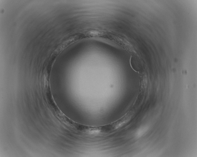 X0000083040651200702231931