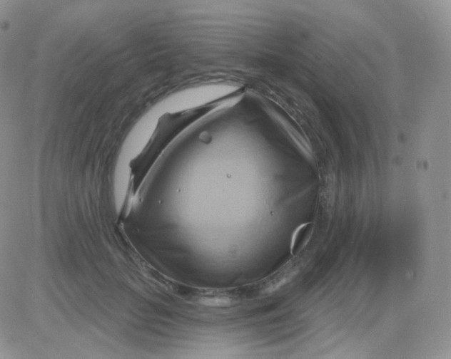 X0000083040653200702231931