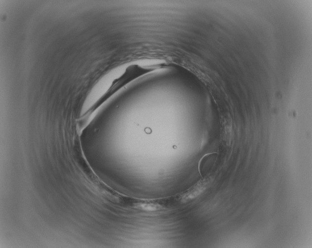 X0000083040654200702231931