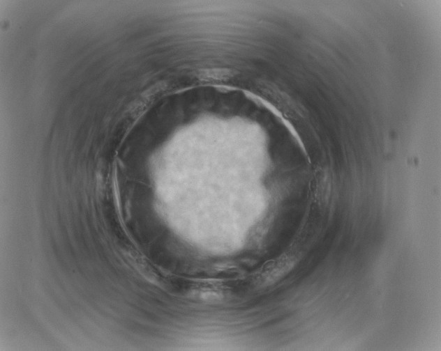 X0000083040655200702231931