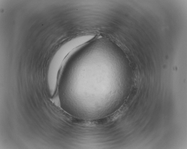 X0000083040656200702231931