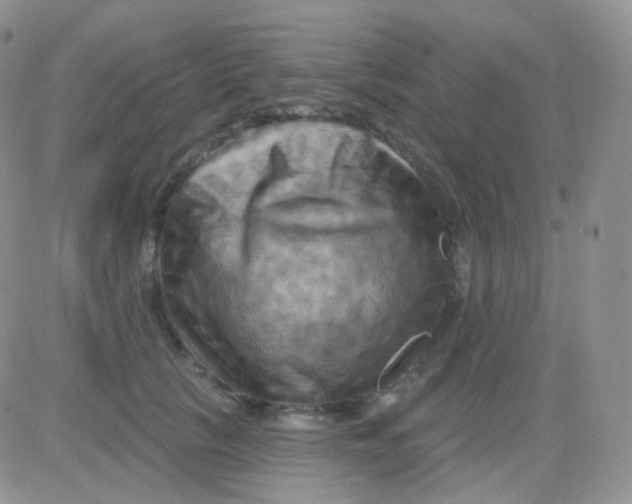 X0000083040657200702231931