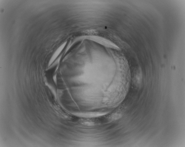 X0000083040658200702231931