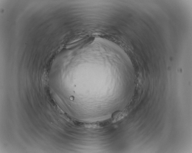 X0000083040659200702231931