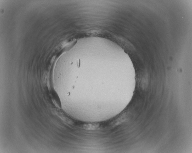 X0000083040660200702231931