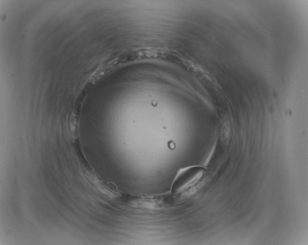 X0000083040661200702231931