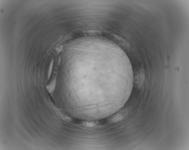 X0000083040662200702231931