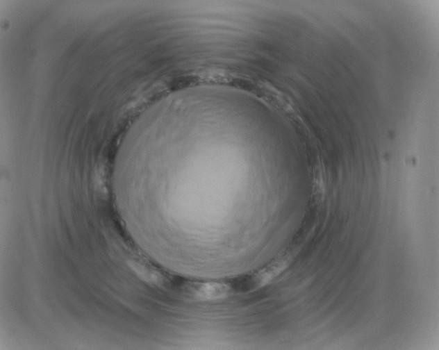 X0000083040663200702231931