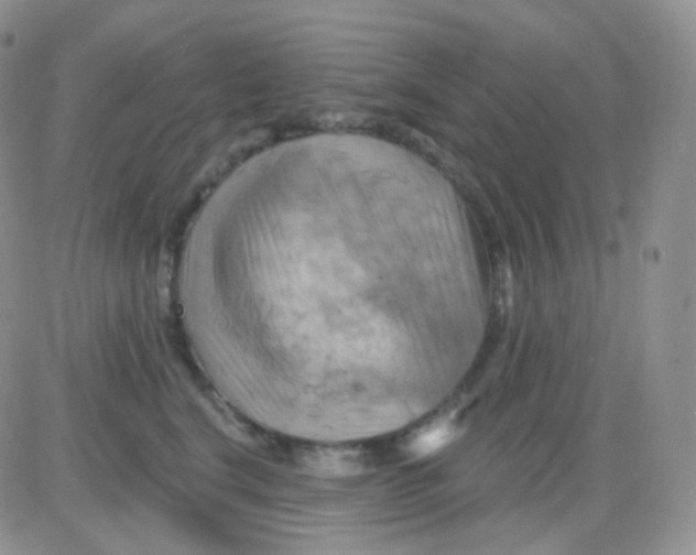 X0000083040664200702231931