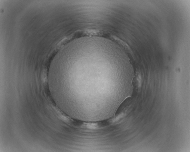 X0000083040665200702231931