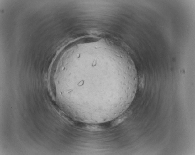 X0000083040666200702231931