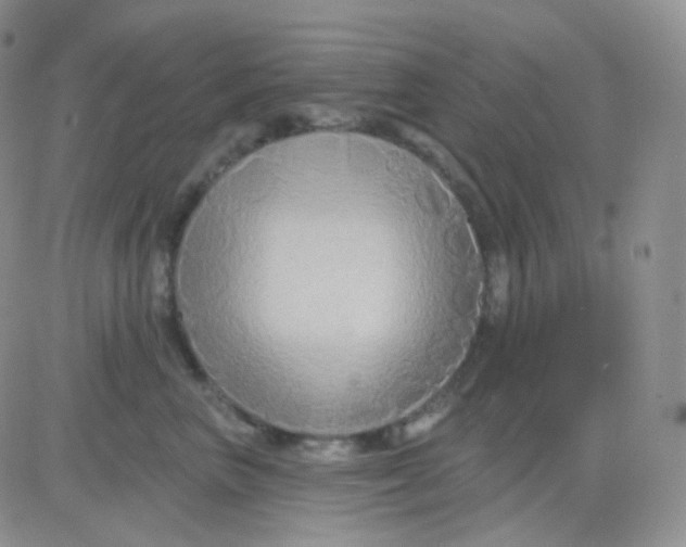 X0000083040667200702231931