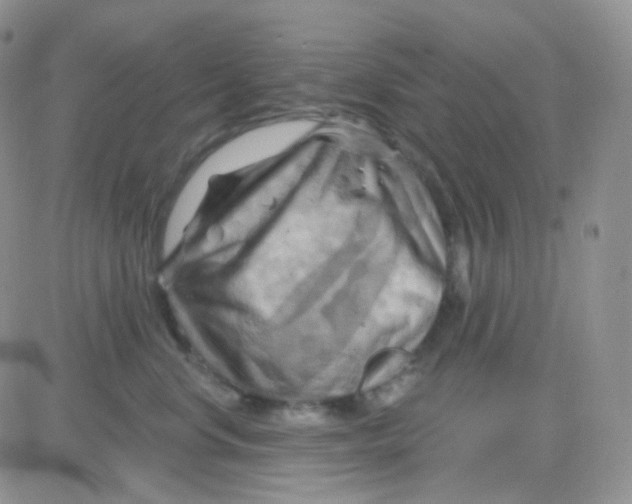 X0000083040668200702231931