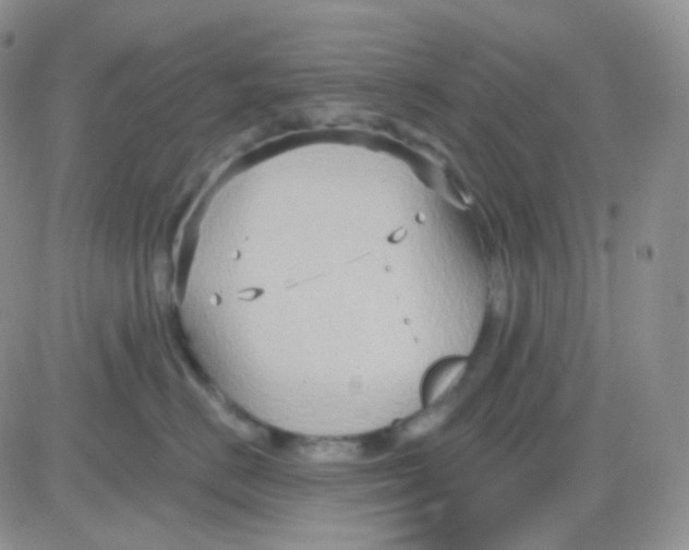 X0000083040670200702231931