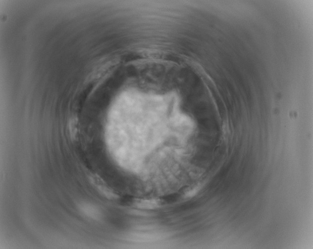 X0000083040671200702231931