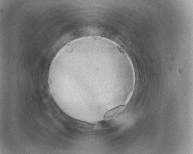 X0000083040672200702231931