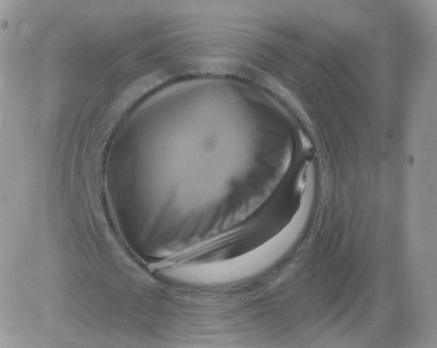 X0000083040673200702231930