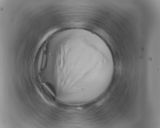 X0000083040674200702231930