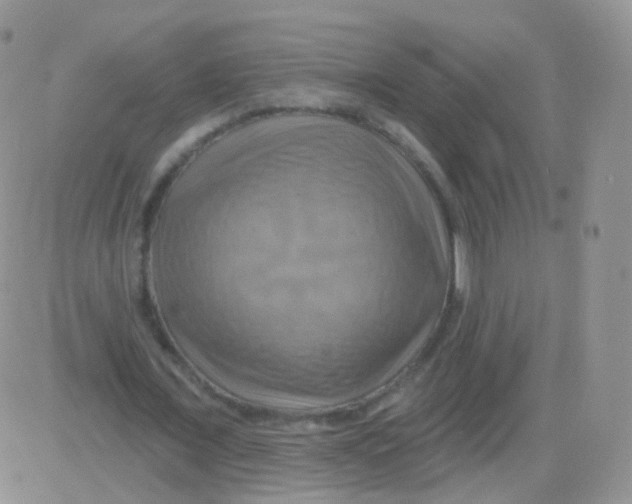 X0000083040675200702231930