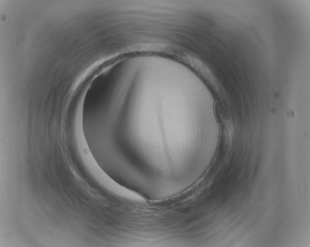 X0000083040676200702231930