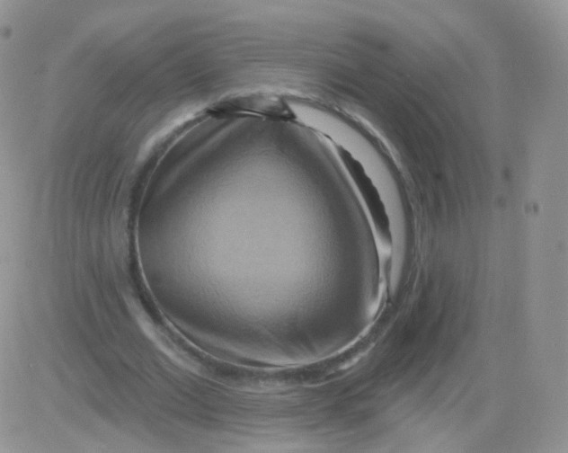 X0000083040677200702231930