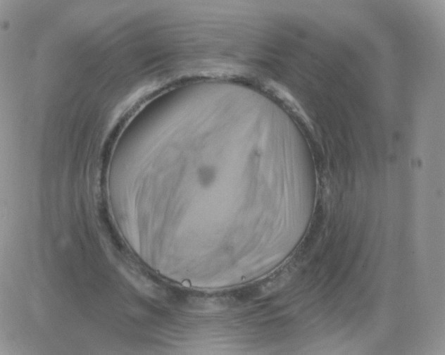 X0000083040679200702231930