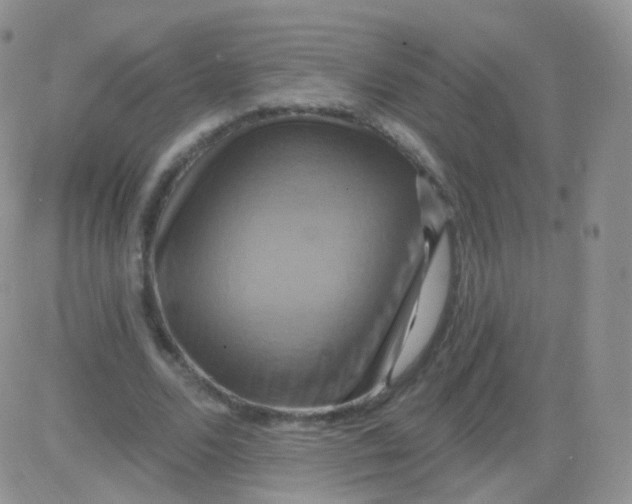 X0000083040680200702231930