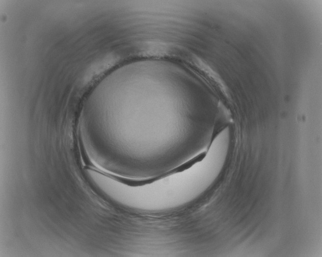 X0000083040681200702231930