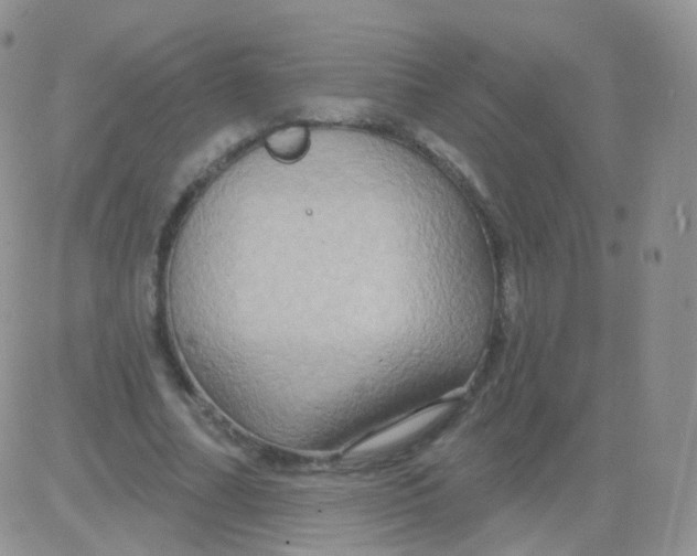 X0000083040682200702231930