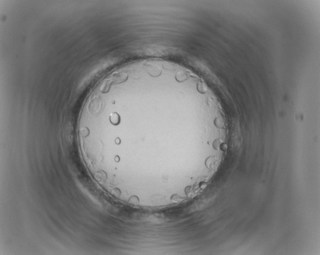 X0000083040683200702231930