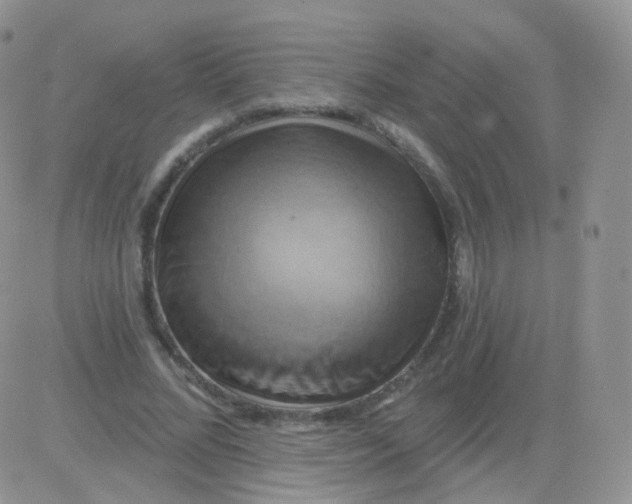 X0000083040684200702231930