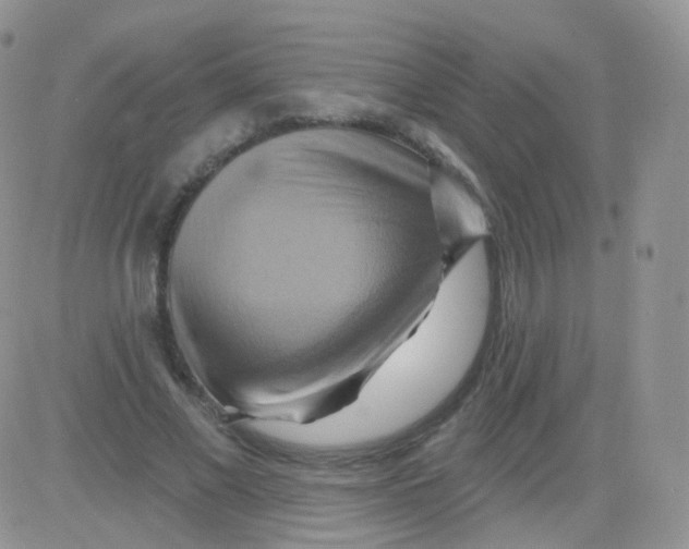 X0000083040685200702231930