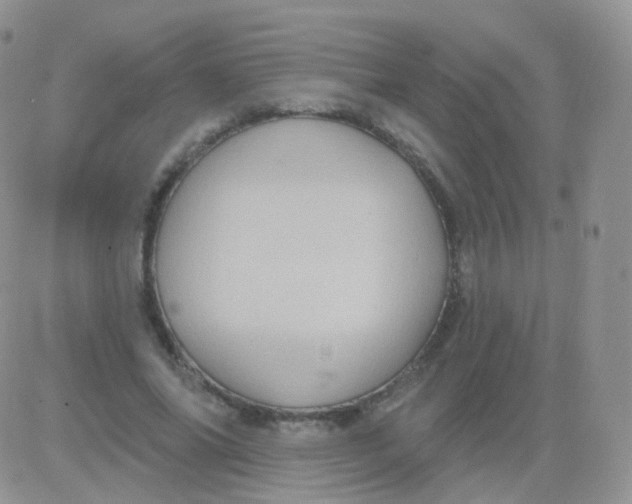 X0000083040686200702231930