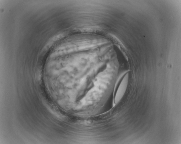 X0000083040687200702231930