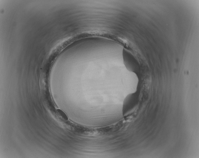 X0000083040688200702231930