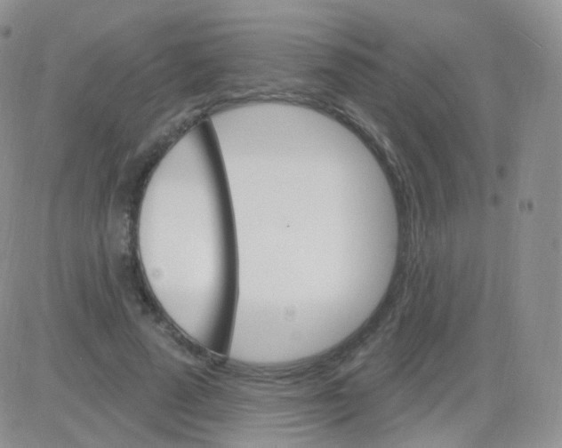 X0000083040689200702231930