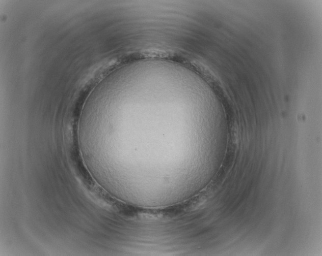 X0000083040690200702231930