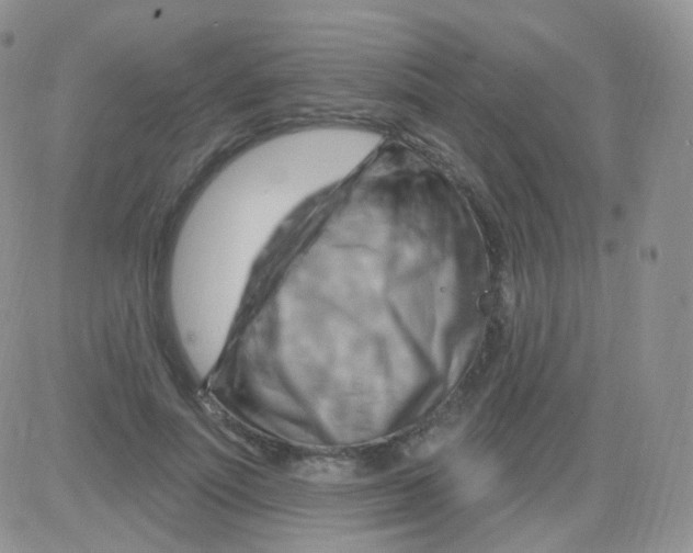 X0000083040691200702231930