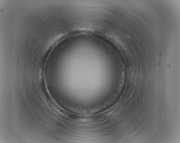 X0000083040692200702231930